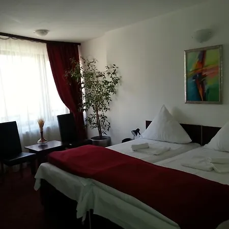 Pensión Pensiunea Pura Vida Timisoara