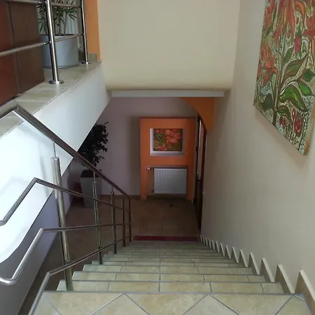 Pensiunea Pura Vida Тимишоара