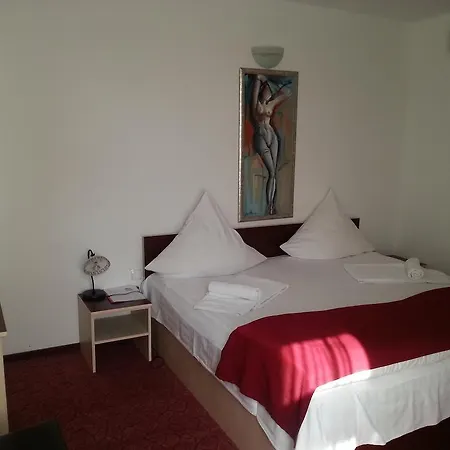 Pensiunea Pura Vida Τιμισοάρα