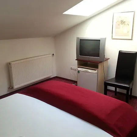 Vendégház Pensiunea Pura Vida Temesvár