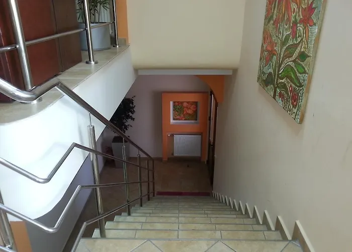 Pensiunea Pura Vida טימישוארה