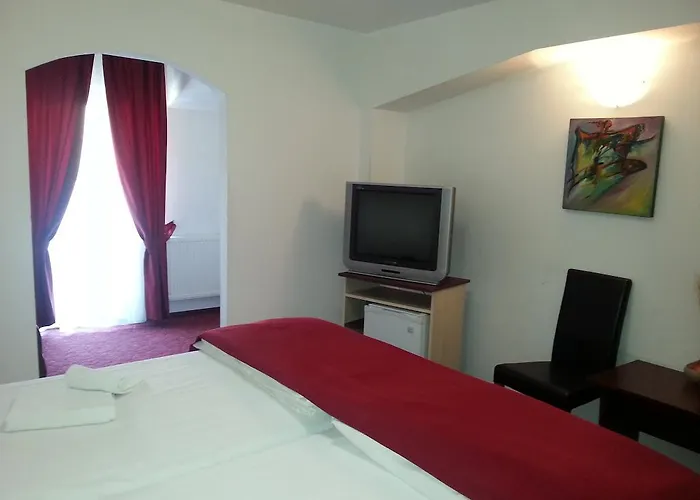 Pensiune Pensiunea Pura Vida Timişoara