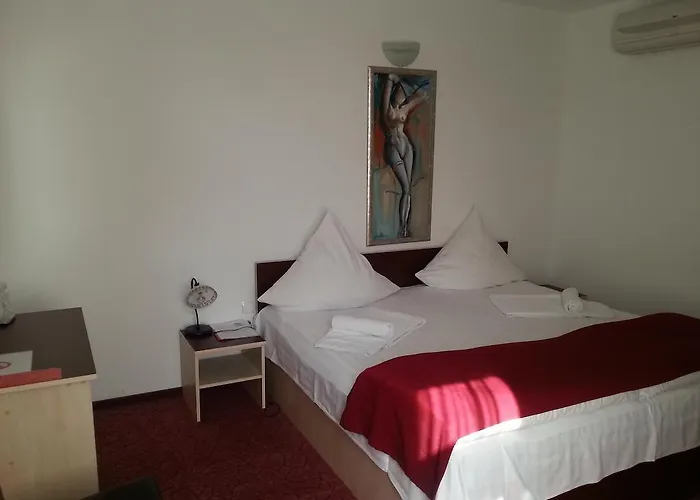 Pensiunea Pura Vida Timişoara