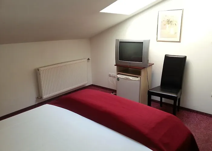 בית הארחה Pensiunea Pura Vida טימישוארה